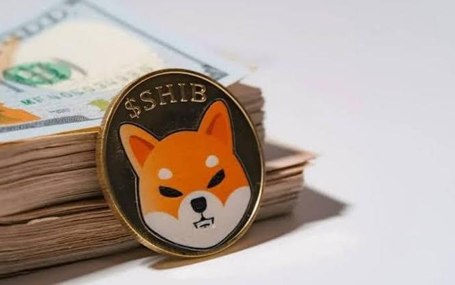 九游体育入口-专家称加密市场将在年底冲破SHIB美元，引发引发关注，引发热议